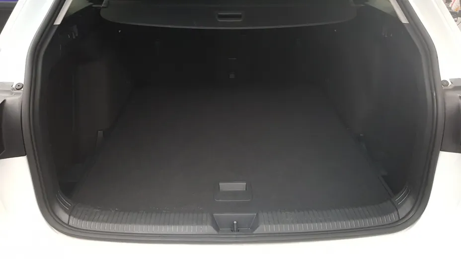 VOLKSWAGEN Golf Golf VIII 1.5 eTSI EVO Life DSG
