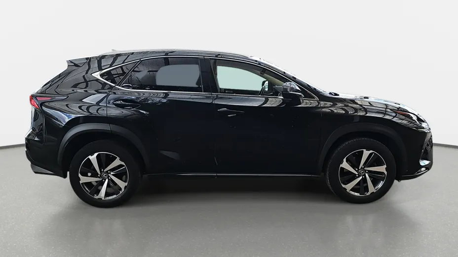 LEXUS NX NX 300 Omotenashi AWD