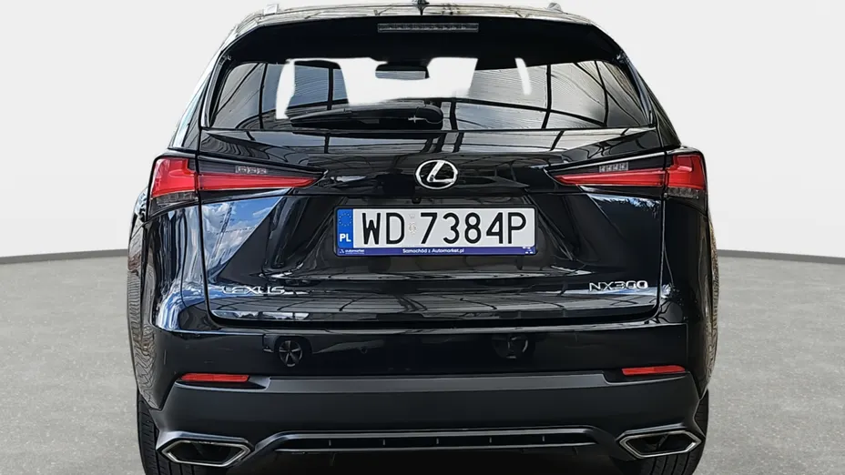 LEXUS NX NX 300 Omotenashi AWD