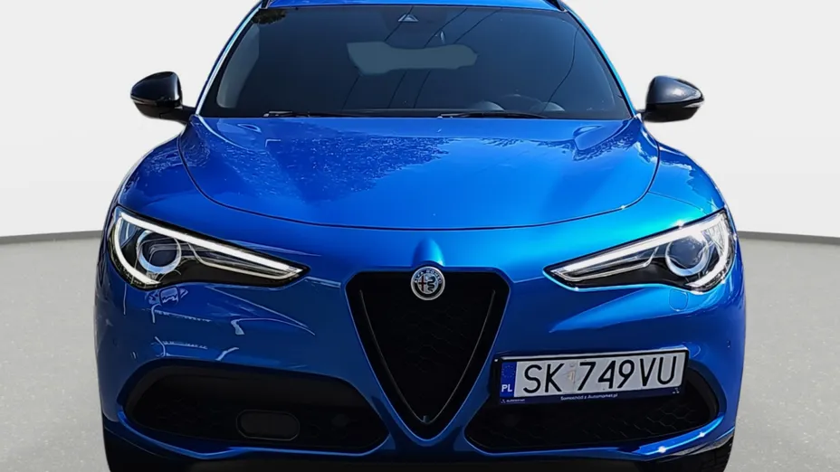 ALFA ROMEO Stelvio Stelvio 2.0 Turbo Veloce TI Q4 aut