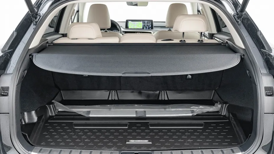 LEXUS RX RX 300 Business Edition +