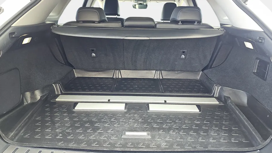 LEXUS RX RX 450h F-Impression