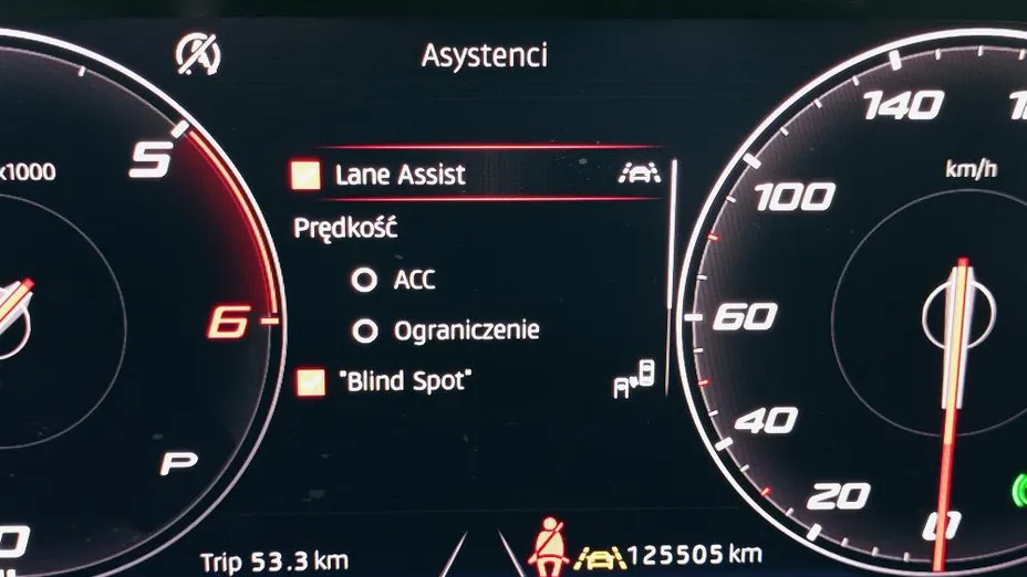 SEAT Tarraco Tarraco 2.0 TDI Xcellence S&S 4Drive DSG
