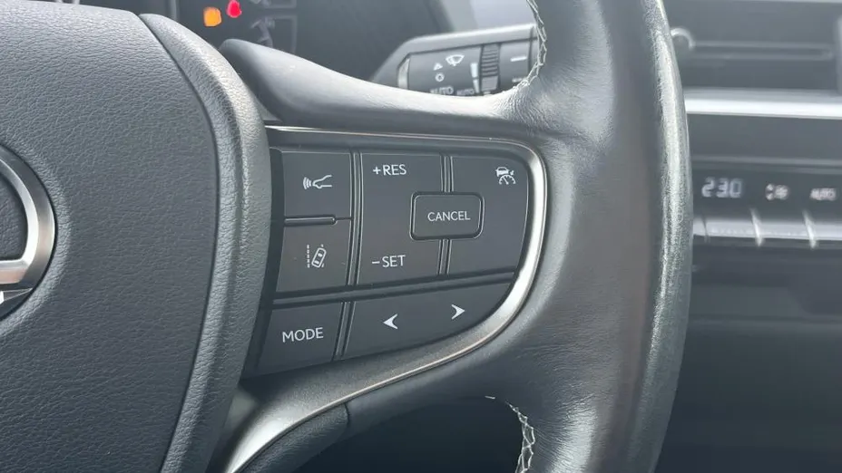 LEXUS UX UX 250h GPF Business Edition 2WD