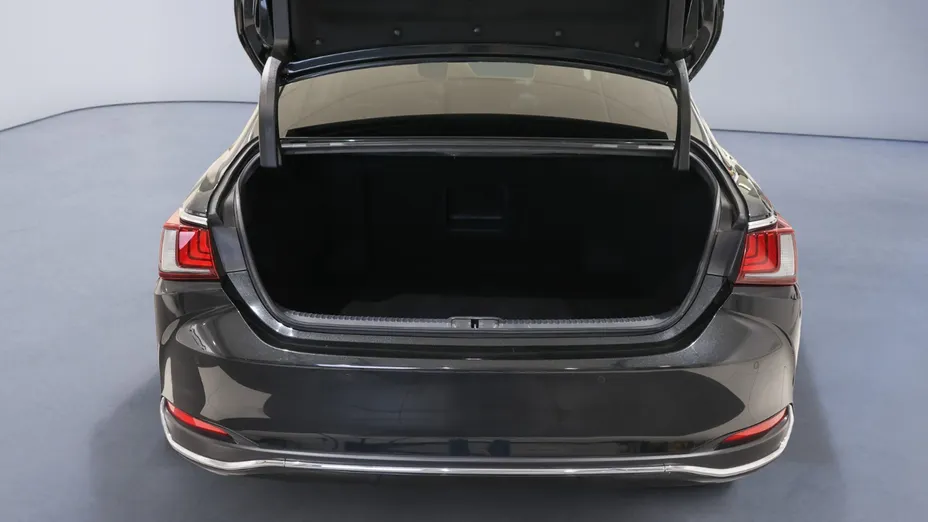 LEXUS ES ES 300h Elegance