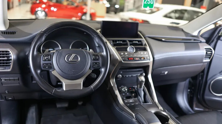 LEXUS NX NX 300h Optimum AWD