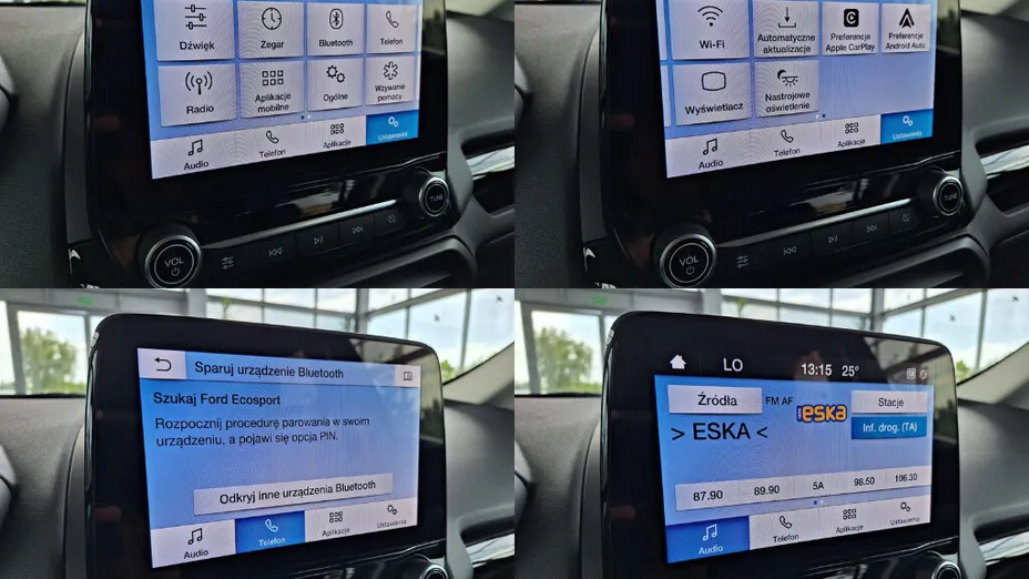 FORD Ecosport Ecosport 1.0 EcoBoost GPF Titanium ASS
