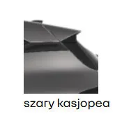 RENAULT Captur Captur 1.0 TCe Evolution Nowy