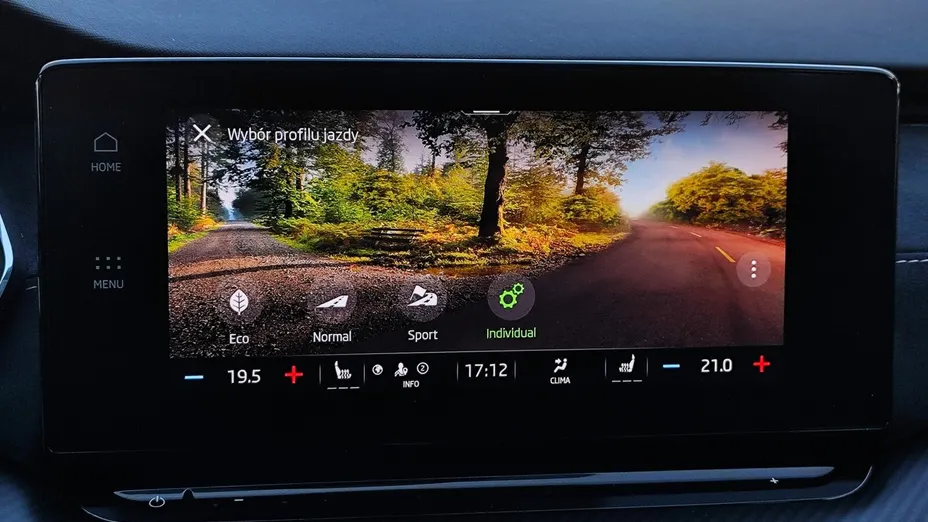SKODA Octavia Octavia 2.0 TDI 4x4 RS DSG