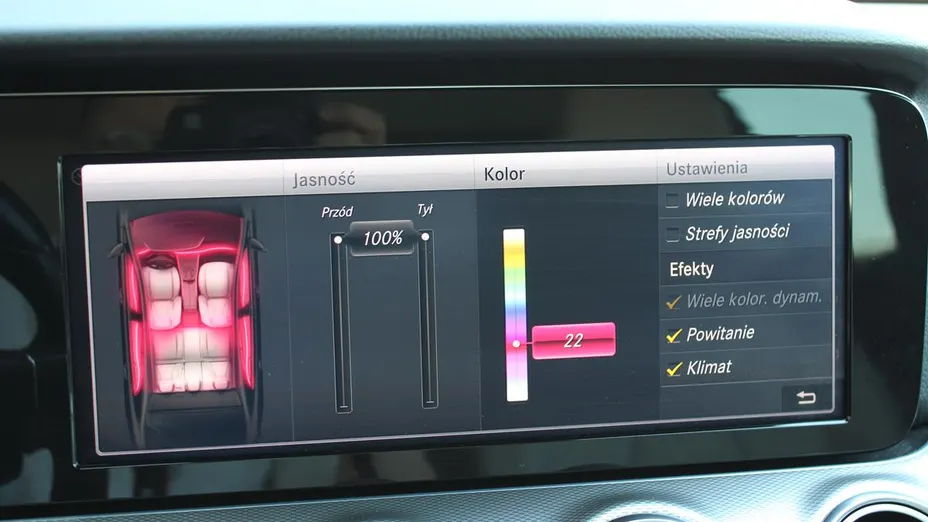 MERCEDES-BENZ E Klasa E 220 d 4-Matic 9G-TRONIC