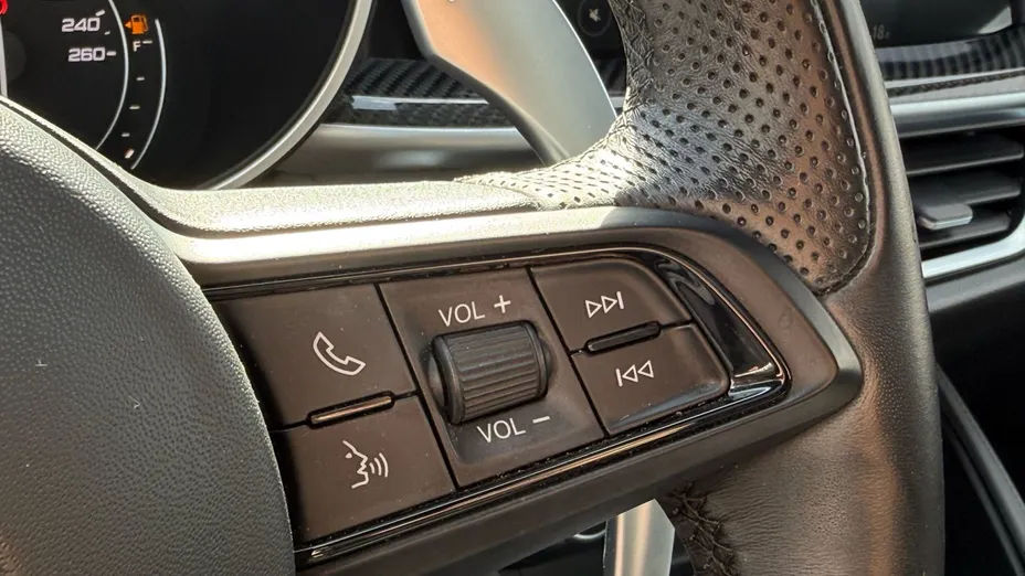 ALFA ROMEO Stelvio Stelvio 2.0 Turbo Veloce TI Q4 aut