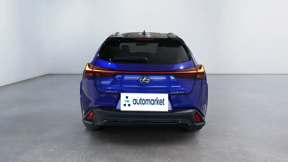 LEXUS UX UX 300h F Sport