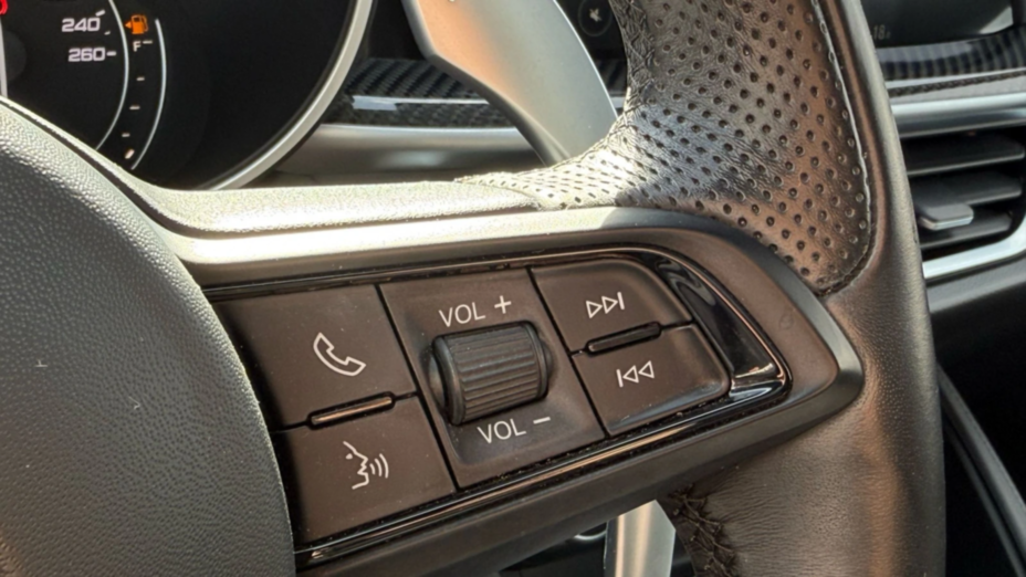 ALFA ROMEO Stelvio Stelvio 2.0 Turbo Veloce TI Q4 aut