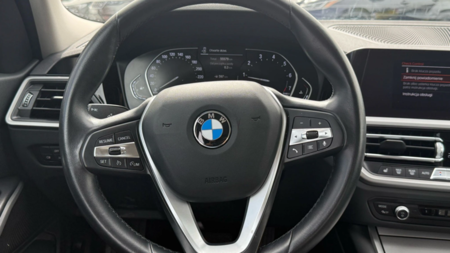 BMW Seria 3 318i Advantage aut