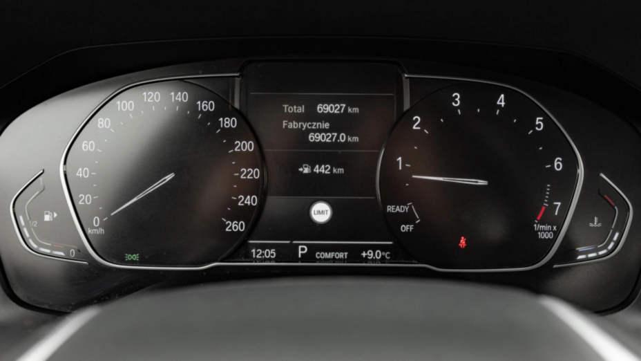 BMW Seria 3 318i Advantage aut