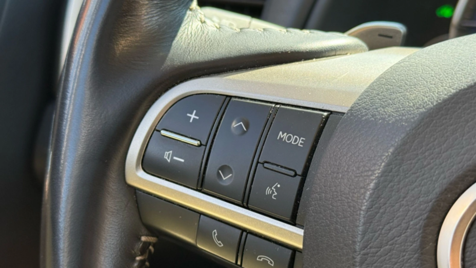 LEXUS RX RX 450h Business Edition +
