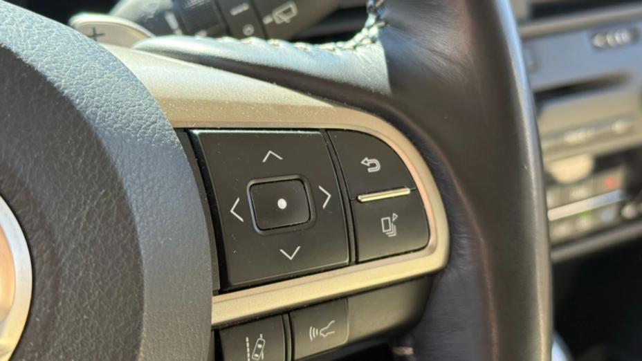 LEXUS RX RX 450h Business Edition +