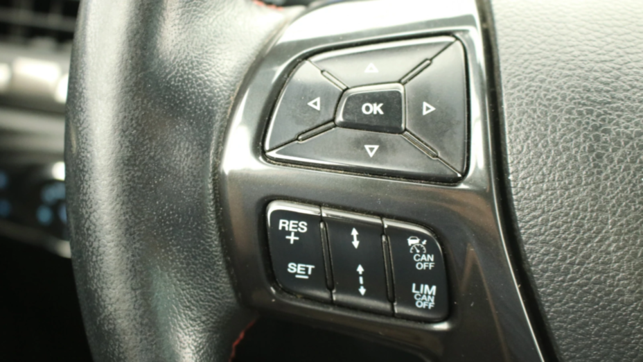 FORD Ranger Ranger 2.0 EcoBlue 4x4 DC Wildtrak aut