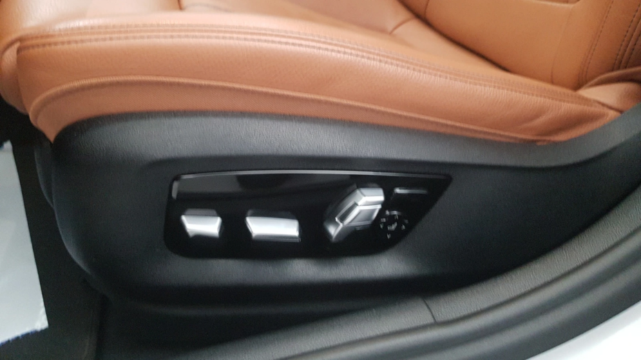BMW Seria 5 520d xDrive mHEV Luxury Line aut