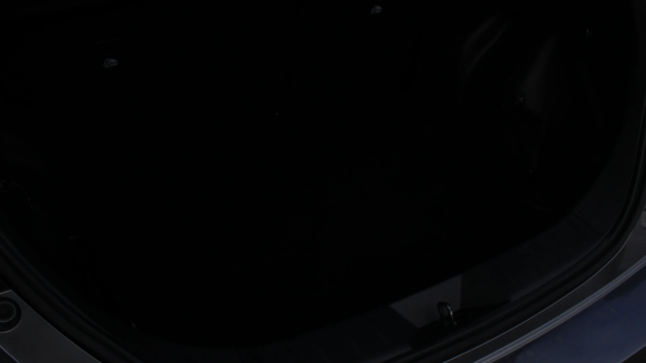 NISSAN Leaf Leaf 40kWh Acenta