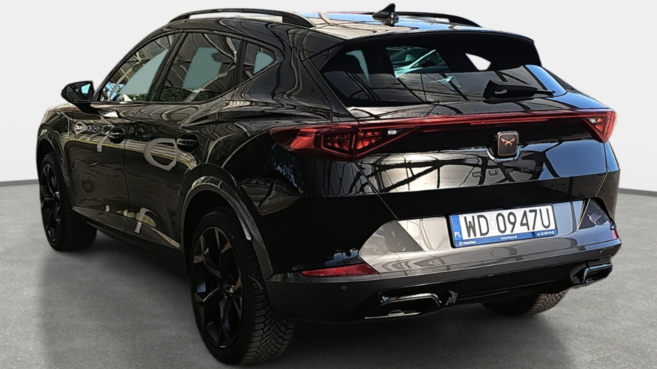 CUPRA Formentor Formentor 2.0 TSI 4Drive DSG
