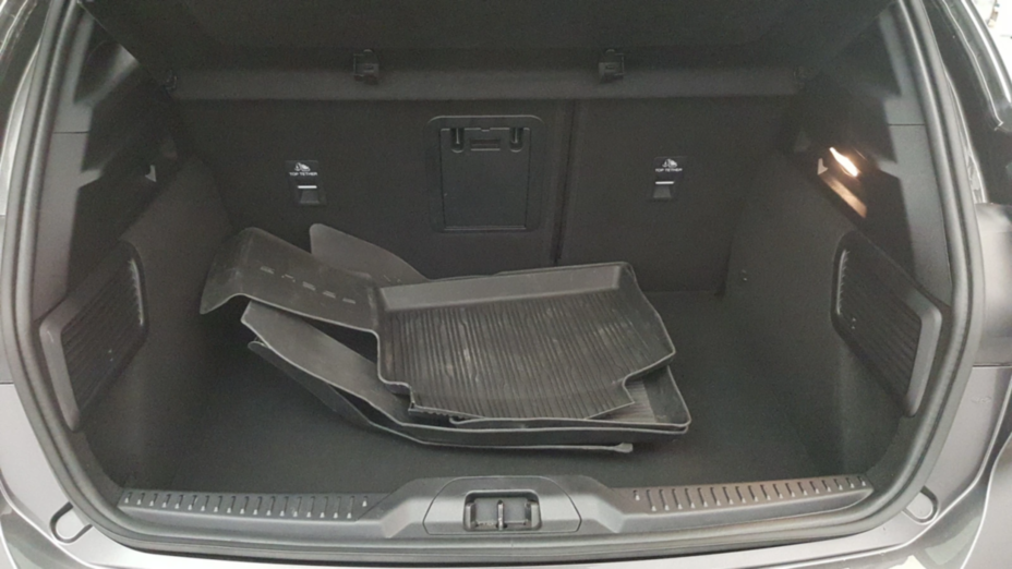 FORD Focus Focus 1.0 EcoBoost mHEV ST-Line X aut