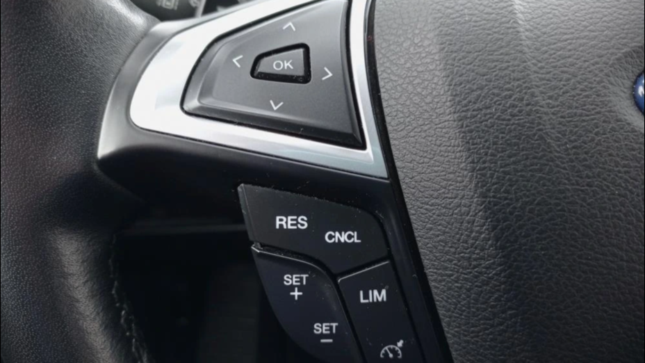 FORD S-MAX S-MAX 2.0 EcoBlue Titanium aut