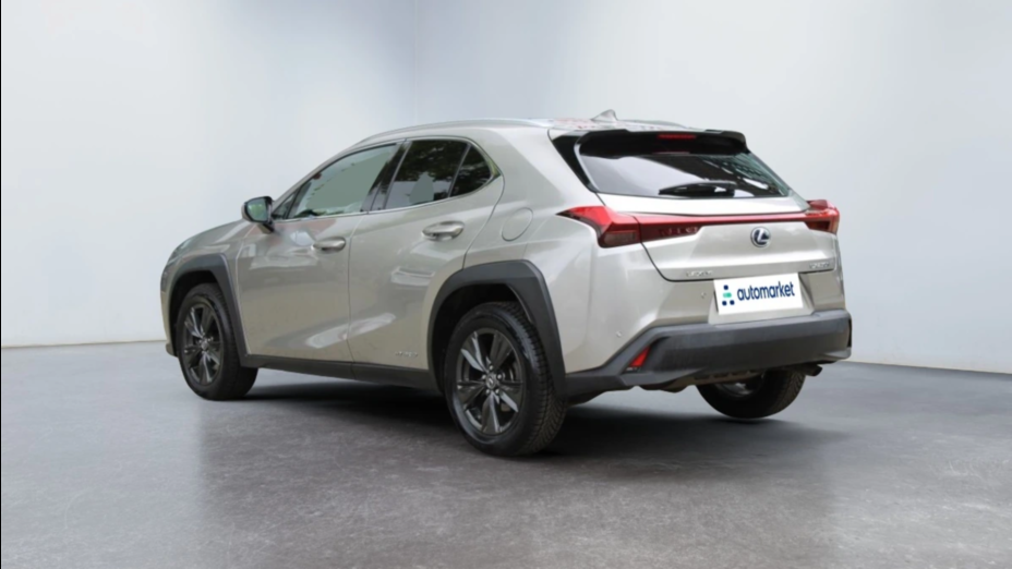 LEXUS UX UX 250h GPF Business Edition 2WD