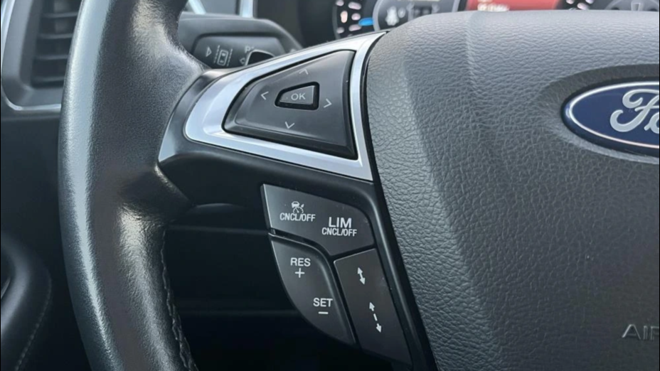 FORD S-MAX S-MAX 2.0 EcoBlue Titanium aut