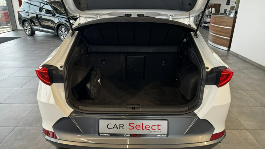 CUPRA Formentor Formentor 2.0 TSI 4Drive DSG