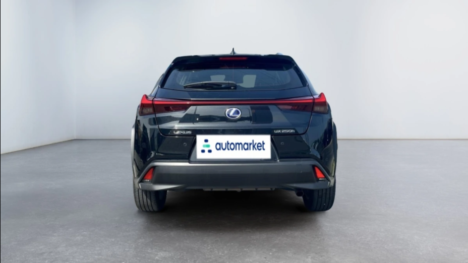 LEXUS UX UX 250h GPF Business Edition 2WD