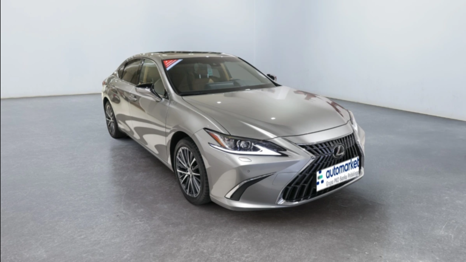 LEXUS ES ES 300h Business Edition