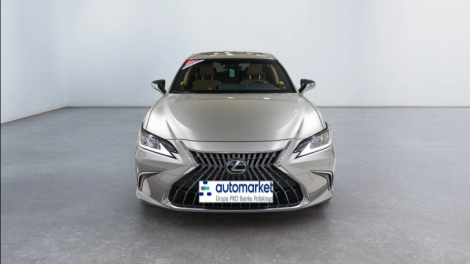 LEXUS ES ES 300h Business Edition