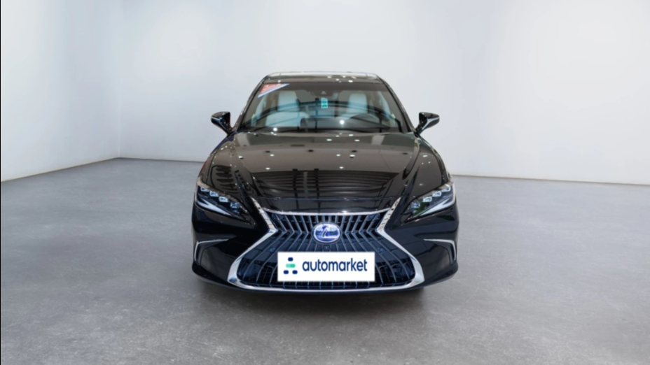 LEXUS ES ES 300h Prestige