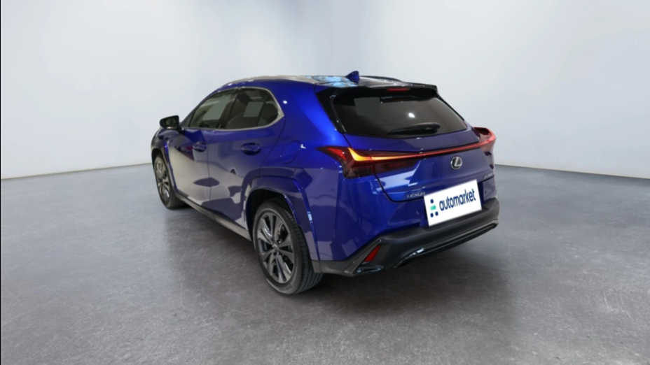 LEXUS UX UX 300h F Sport