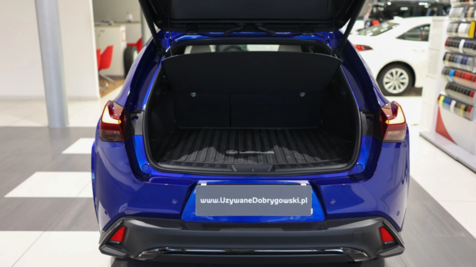 LEXUS UX UX 300h F Sport