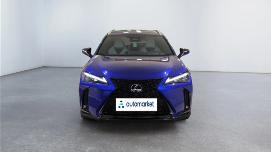 LEXUS UX UX 300h F Sport