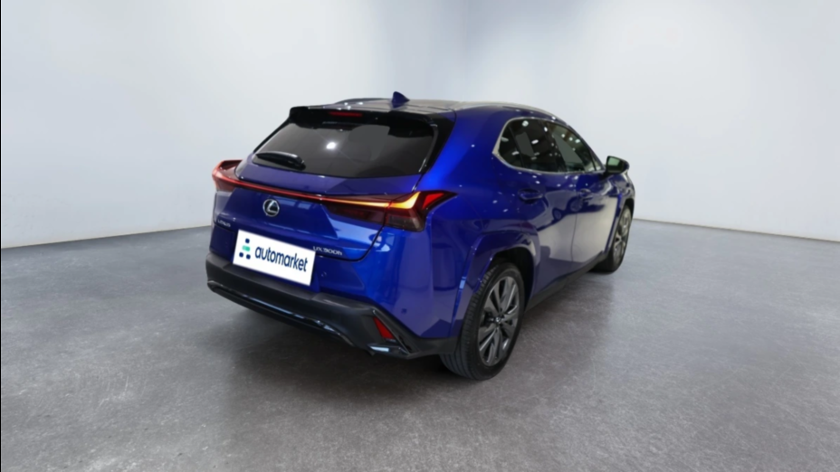 LEXUS UX UX 300h F Sport