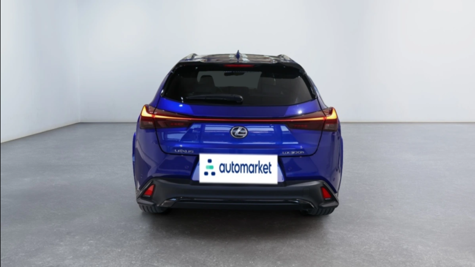 LEXUS UX UX 300h F Sport