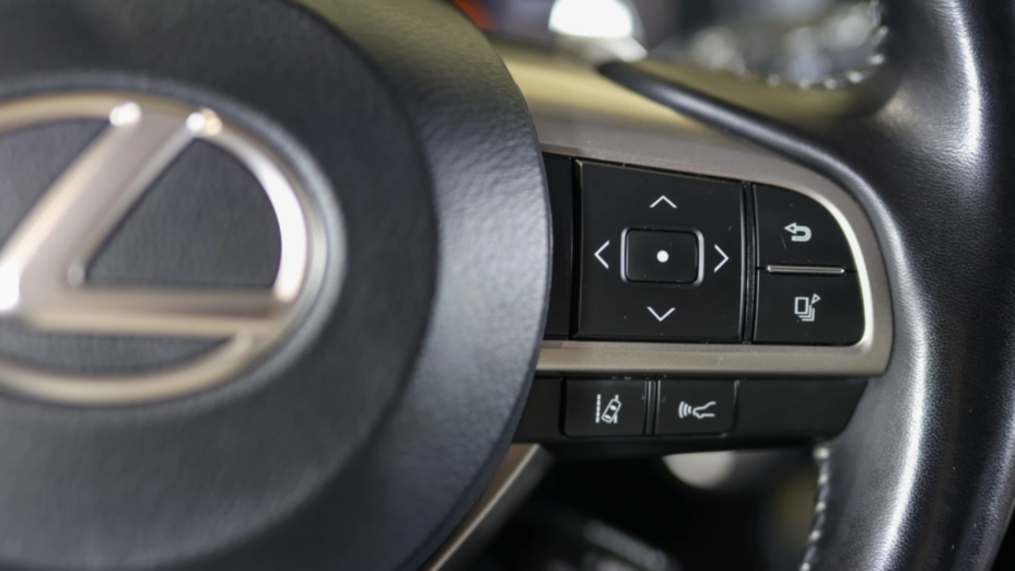 LEXUS RX RX 300 F-Impression