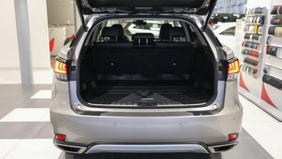 LEXUS RX RX 300 F-Impression