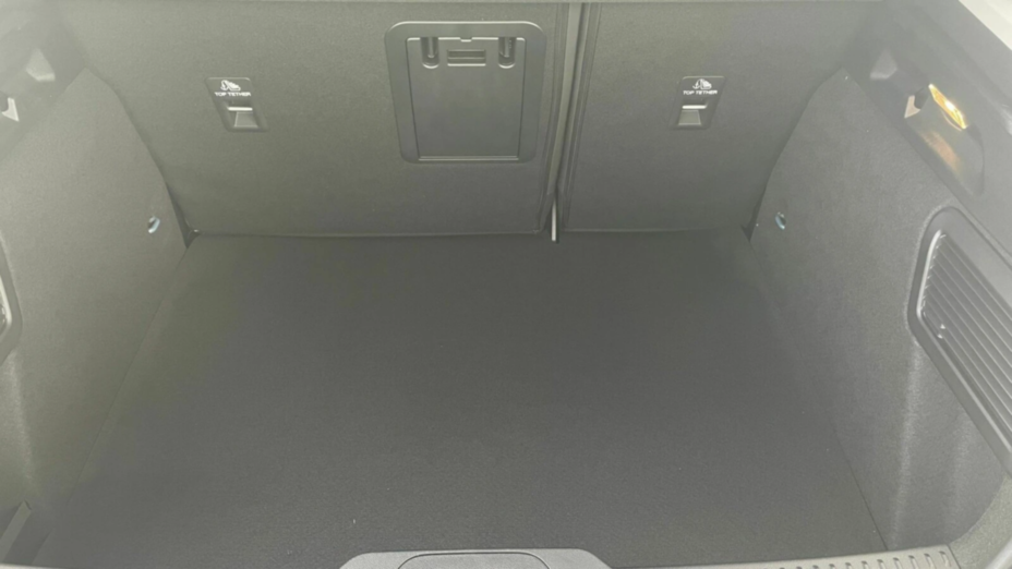 FORD Focus Focus 1.0 EcoBoost mHEV Titanium Nowy