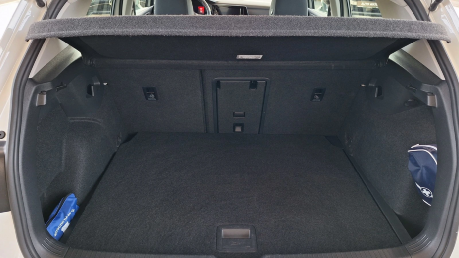 VOLKSWAGEN Golf Golf VIII 1.5 eTSI EVO Style DSG