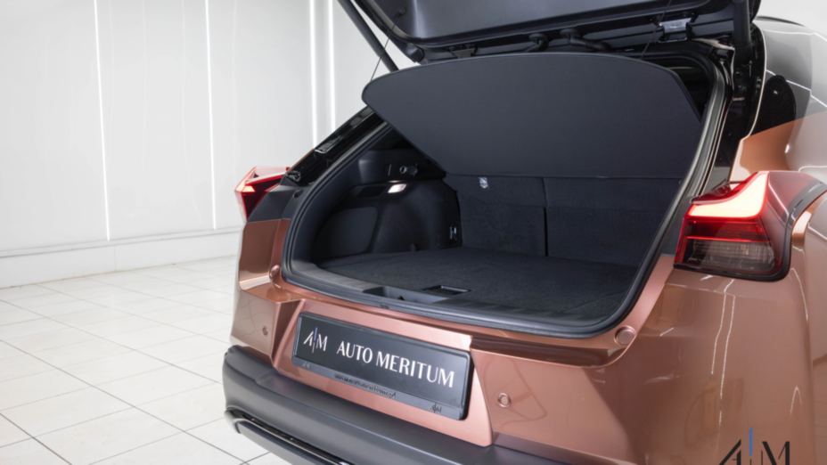 LEXUS UX UX 300h F Sport Design AWD
