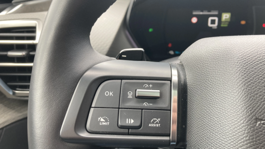 CITROEN C5 X C5 X 1.6 PHEV 225 Shine Pack EAT8