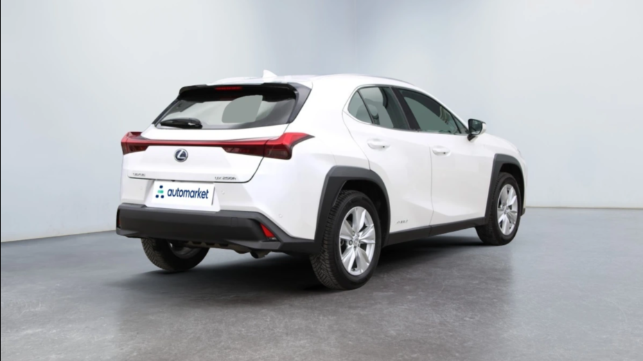 LEXUS UX UX 250h GPF Business Edition 2WD