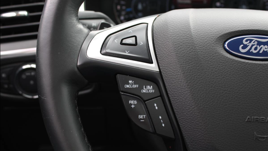 FORD S-MAX S-MAX 2.0 EcoBlue Vignale aut