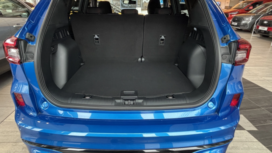 FORD Kuga Kuga 1.5 EcoBoost FWD ST-Line X aut Nowy