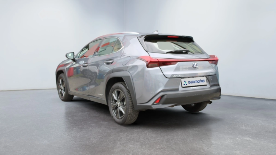 LEXUS UX UX 250h GPF Business Edition 2WD