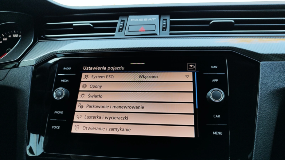 VOLKSWAGEN Passat Passat Alltrack 2.0 TDI 4Mot. DSG